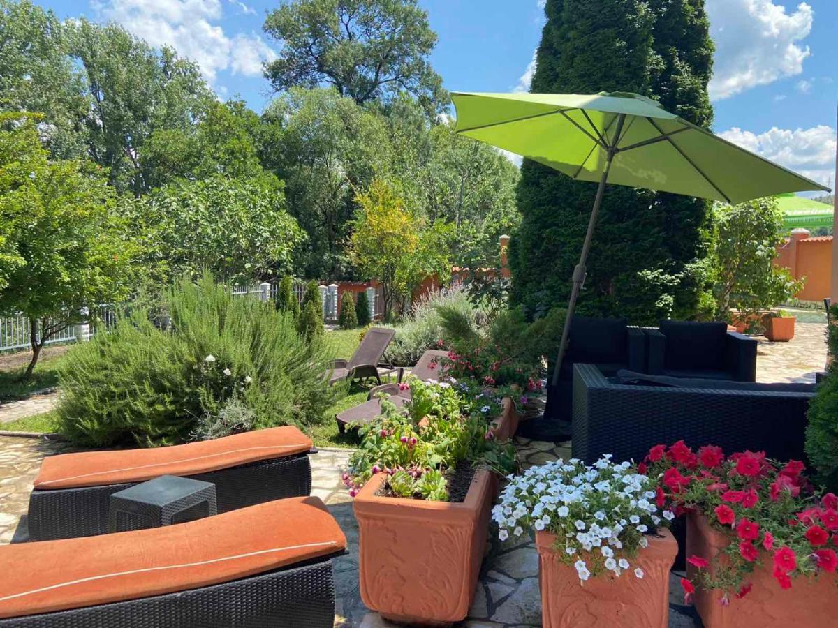 Private Riverside Villa Silvia Mostar Exterior photo